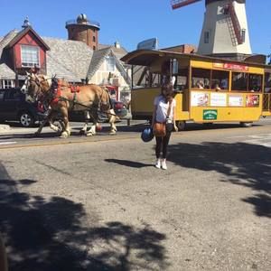 Meet your Posher, Mai